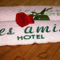 Airport Hotel Les Amis